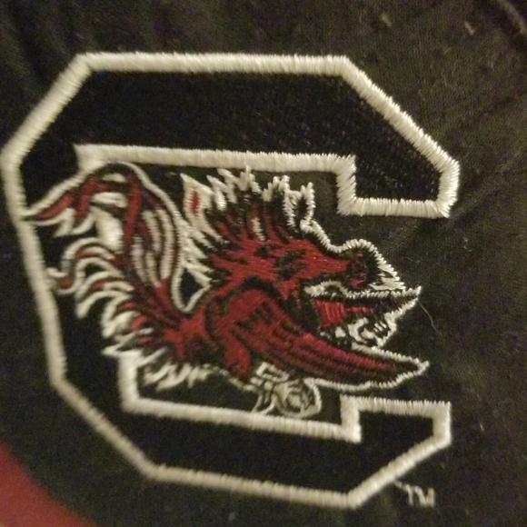 3/$5 Carolina Bag - Picture 2 of 4